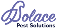 Solace Pest Solutions